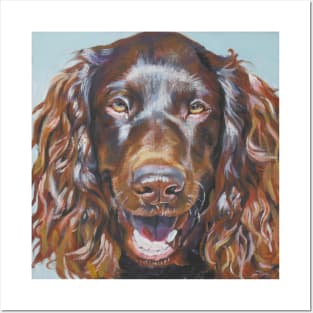 Boykin Spaniel Fine Art Painting Posters and Art